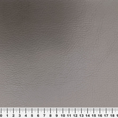 Polipiel Bizonne