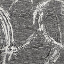 Muestra - Beta