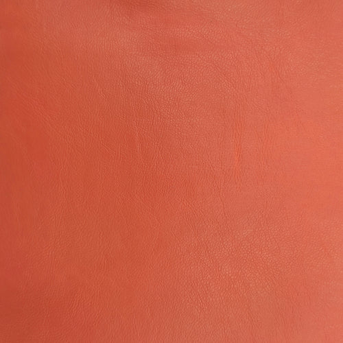 Polipiel - Capro NW
