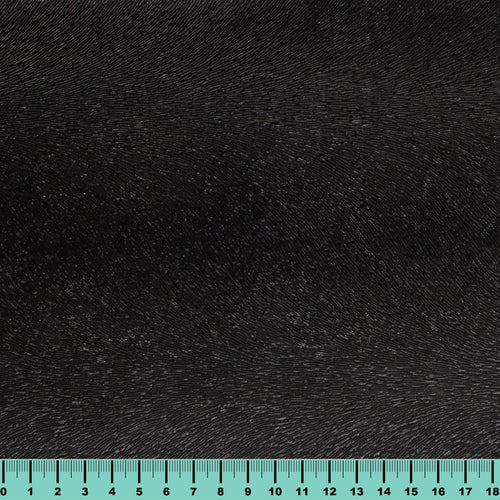 Polipiel - Tay