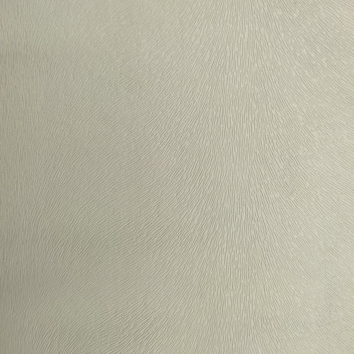 Muestra - Tay Plain