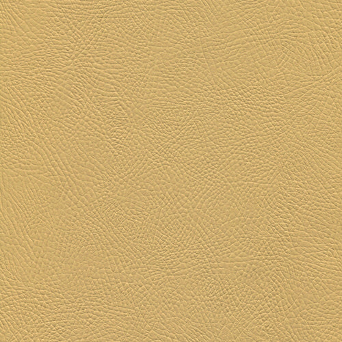 Polipiel - Venus