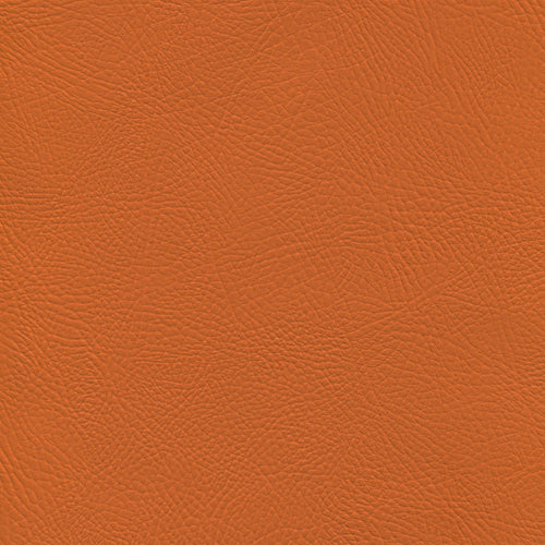 Polipiel - Venus