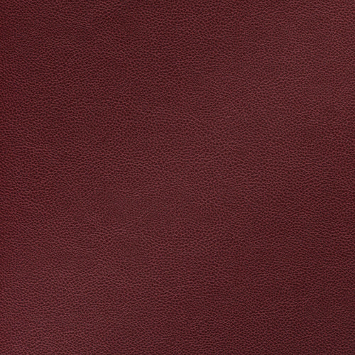 Polipiel - Faselis
