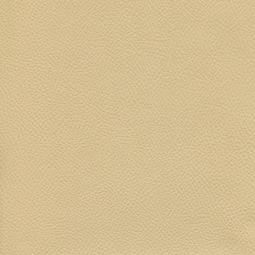 Polipiel - Covantry